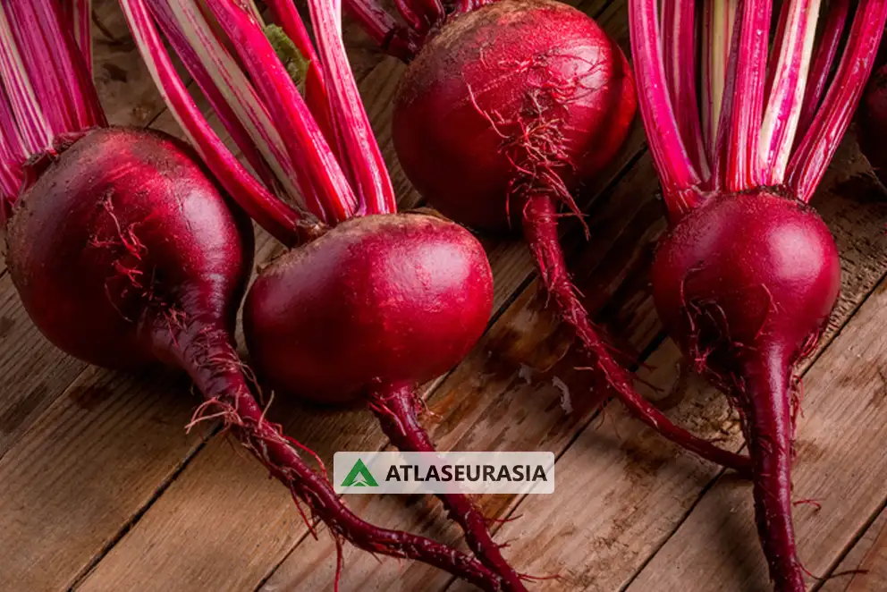 آشنایی با خواص بیت روت: خوش طعم، خوش رنگ و مقوی!